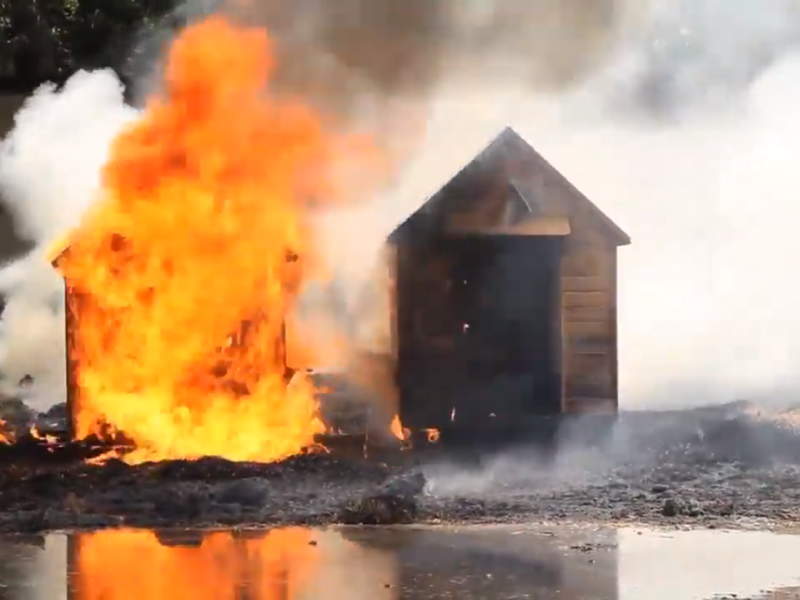 Imprägnierung Brandschutz (1)